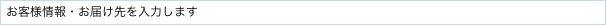 お客様情報・お届け先を入力します