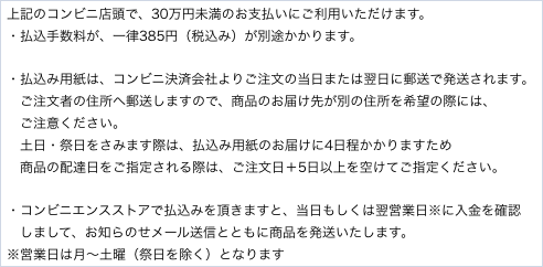 上記のコンビニ店頭で、30万円未満のお支払いにご利用いただけます。
・払込手数料が、一律385円（税込み）が別途かかります。
