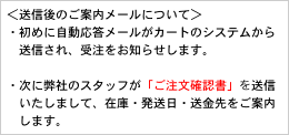 ＜送信後のご案内メールについて＞
・初めに自動応答メールがカートのシステムから