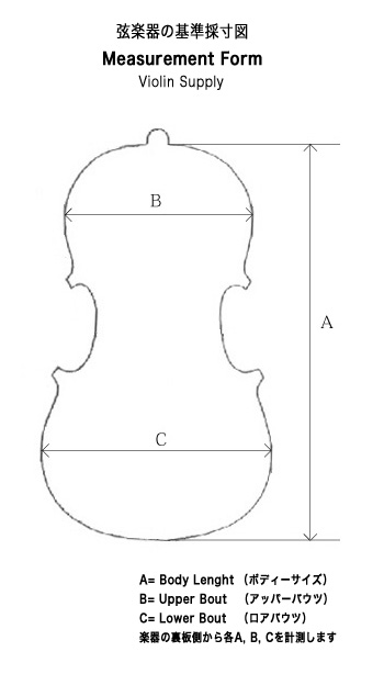 MeasurementFormViolinSupply