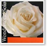 wondertonesolo